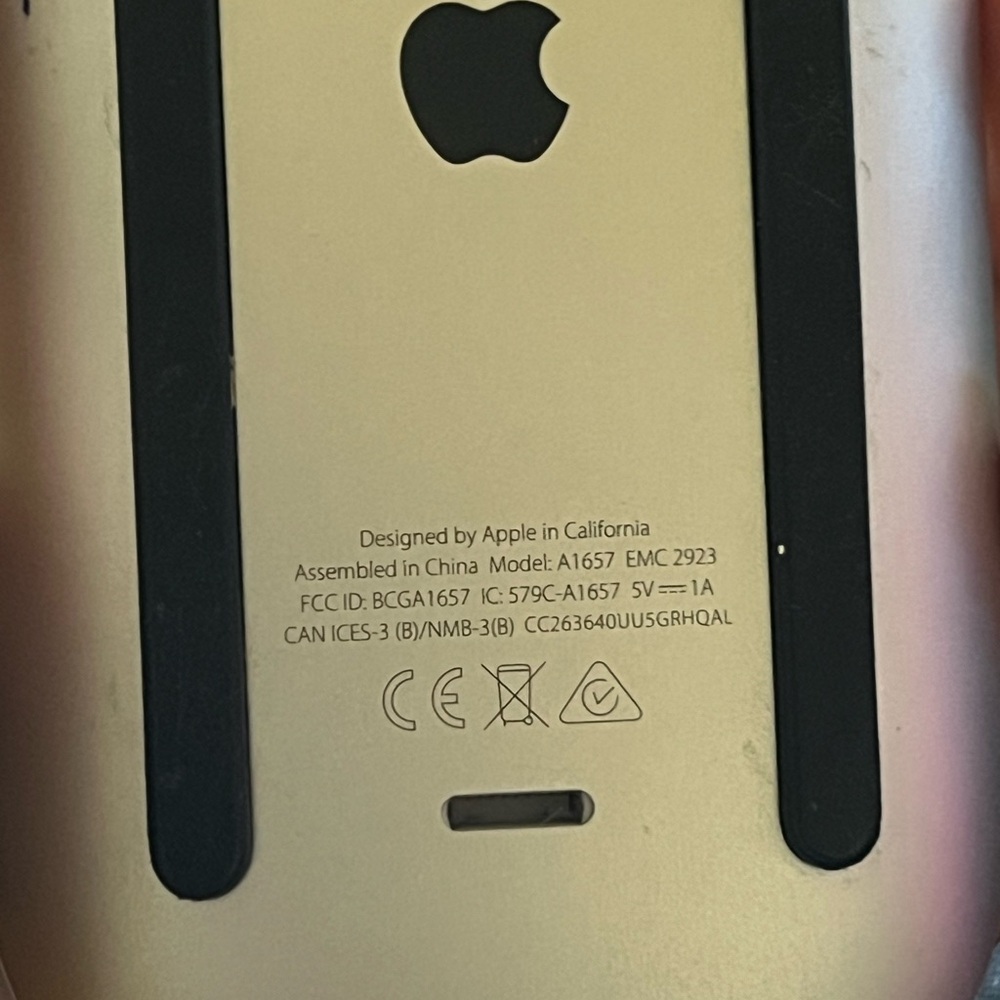 it’s a magic mouse 2. i used it once and it works very WELL